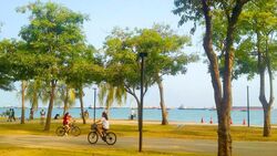 The Sea View (D15), Condominium #597203701